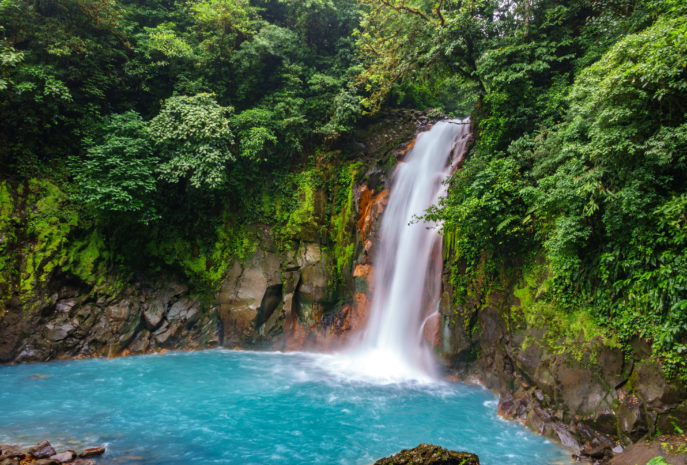 Viaje de Lujo a Costa Rica Santuarios de vida Salvaje