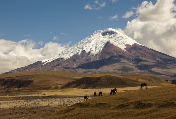 Viaje de lujo a Ecuador